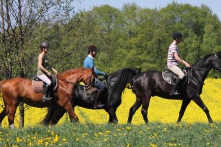 Długi weekend czerwcowy - Boże Ciało 2022 - Czerwcówka w Siodle