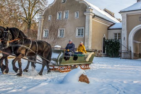 Ferie zimowe 2025 - Rodzinne ferie i Rodzinne ferie jeździeckie