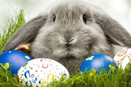 Pakiety wielkanocne 2026 - Wielkanoc nad Jeziorem