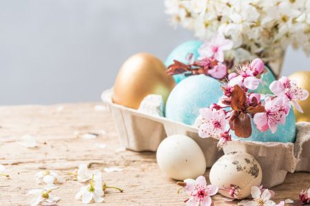 Hotel Wodnik*** - Wielkanoc nad morzem